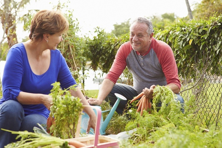 Volunteering Offers Benefits and Opportunities for Seniors