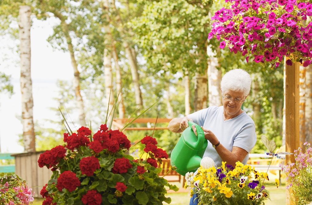 5 Ways for Seniors to Stay Safe in the Sun