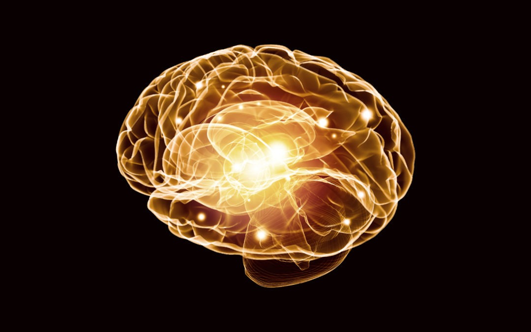 Artificial Intelligence Can Now Detect Early Alzheimer’s Disease in Brain Scans